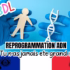 Abdl reprogrammation adn tu n'as jamais été grand